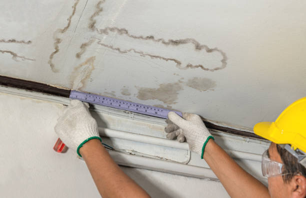 Affordable Ceiling Water Damage Repair solutions in Whiting, ME